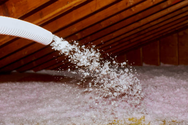 Best Insulation Inspection Services  in West Hills, PA